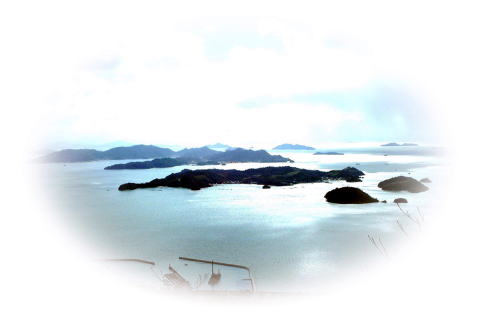 笠岡諸島・全景・神島つがの丸から